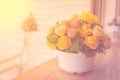 Flowers in a pot on a wooden table with blur background Royalty Free Stock Photo