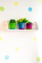 Flowers in pots with color boxes on shelves on wall background