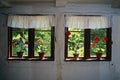 Flowers in pots on cottage house window. Royalty Free Stock Photo