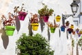 Flowers in pots of different colors hanging on the wall on the street in the Mediterranean city. Estepona, Spain.