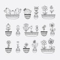 Flowers in Pots Hand Drawn Vector Illustration