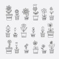 Flowers in Pots Hand Drawn Vector Illustration