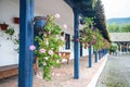 Flowers in pots, in an old hacienda Royalty Free Stock Photo
