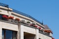 Flowers in pots on the open terrace of the upper floor