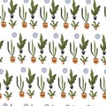 Flowers in pots, potted plants and clocks seamless pattern