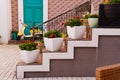 flowers in pots on stairs to entrance to building. decoration of exterior Royalty Free Stock Photo