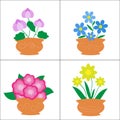 Flowers in pots on white background Royalty Free Stock Photo