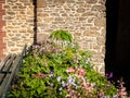 Flowers on the promenade Clair de lune in Dinard Royalty Free Stock Photo