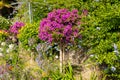 Flowers on the promenade Clair de lune in Dinard Royalty Free Stock Photo