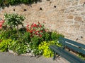 Flowers on the promenade Clair de lune in Dinard Royalty Free Stock Photo