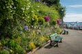 Flowers on the promenade Clair de lune in Dinard Royalty Free Stock Photo