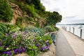 Flowers on the promenade Clair de lune in Dinard Royalty Free Stock Photo