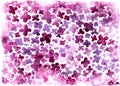 Purple and magenta flowers. Lilac. Watercolor background.