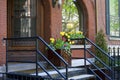 Flowers on Brownstone Stoop 805693