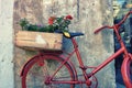 Flowers on a red bicycle near the wall Royalty Free Stock Photo