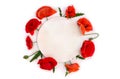 Flowers red poppies corn poppy, corn rose, field poppy with white circle paper card note with space for text on a white