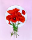Flowers red poppies  corn poppy, corn rose, field poppy  on a white paper card and pink paper background. Top view, flat lay Royalty Free Stock Photo