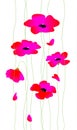 Flowers red poppies on stalks. Vector. Womens beautiful fashionable illustration for postcard, congratulations on the holiday.