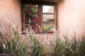 Flowers reflected in windows of small vacation house with morning light