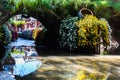 Flowers and reflection at Lijiang