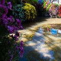 Flowers and reflection at Lijiang