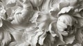 The flowers, reminiscent of sculpture. In black, white and gray tones. Abstract trendy background. Generative AI Royalty Free Stock Photo