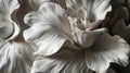 The flowers, reminiscent of sculpture. In black, white and gray tones. Abstract trendy background. Generative AI Royalty Free Stock Photo