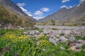 Flowers rhodiola rosea mountains river summer clouds