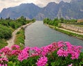 Flowers, river and mountains Royalty Free Stock Photo