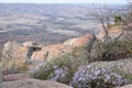 Flowers and a Rock face of Mt Scott in Oklahoma. Royalty Free Stock Photo