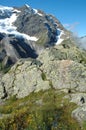 Flowers rock and peaks in snow nearby Grindelwald in Switzerland Royalty Free Stock Photo