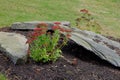 Flowers and Rocks Garden Arrangement Royalty Free Stock Photo