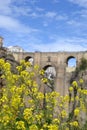 Flowers in Ronda, Andalusian town in Spain at the Puente Nuevo Bridge over the Tajo Gorge, pueblo blanco Royalty Free Stock Photo
