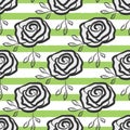 Flowers roses drawn by hand on striped background. Trendy floral seamless pattern. Royalty Free Stock Photo