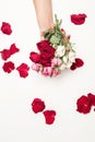 Flowers roses in hands of girl, top view, little white pink red roses, red rose petals, white background Royalty Free Stock Photo