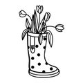 Flowers in rubber boots. Rubber boot with flowers. Vector illustration of spring flowers in a garden Shoe