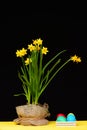 Flowers in sackcloth pot on yellow table by Easter eggs. Royalty Free Stock Photo