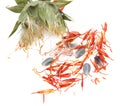 Flowers with safflower seeds on white background