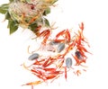 Flowers with safflower seeds on a white background