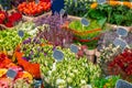 Flowers for sale at a flower market, Amsterdam, The Netherlands Royalty Free Stock Photo