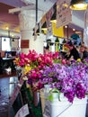 Flowers for sale at Pike Place Market, Seattle, Washington, USA. Royalty Free Stock Photo