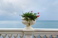 Flowers and the sea