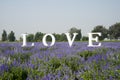 Flowers of the sea, love, English font