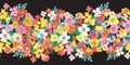 Flowers seamless vector border. Lots of blooming florals in pink, yellow, orange, blue on black. Horizontal pattern. For Royalty Free Stock Photo