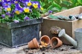 Flowers and seed with garden accessories