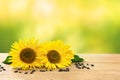 Flowers and seed of sunflower on wooden table on defocused of natural background with space for text