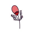 Flowers seeds leaves petals nature decoration icon