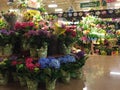 Flowers selling at supermarket background Royalty Free Stock Photo