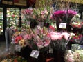 Flowers selling at supermarket Royalty Free Stock Photo