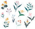 Flowers set. Collection of colorful floral elements in flat color. Set of spring and summer wild flowers, plants, branches, leaves Royalty Free Stock Photo